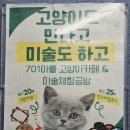 701아를고양이카페(cat in the art) 이미지