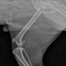 척척 동물의료센터 이미지