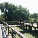 마포돼지갈비 이미지