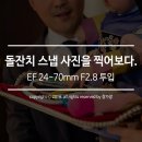 사진을 찍다 이미지