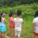 야생초마을아미골 이미지