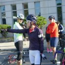 금석세차 | 보령투어 - 영칼로리투어/ 은행나무마을/ 홍성방조제/ 수룡항포구/ 보령방조제/ 오천항/ 오천성/ 오양손...