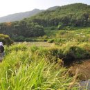 부산둘레길3코스＜＜가덕선창~진해주포마을＞＞14km=4시간~5시간30분 이미지