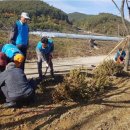 희망나무심기6 이미지