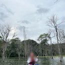 [달랏 한달살기] 클룩 뚜옌람 호수 선셋 패들보드 SUP 체험