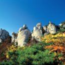 개울가 세탁 이미지