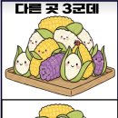 믄 과일인지 ? 이미지