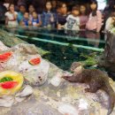 롯데월드아쿠아리움 이미지