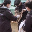 생츄어리