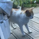 상월지역아동센터 이미지