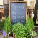 퀼트올리비아 이미지