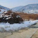 동량면사무소 이미지