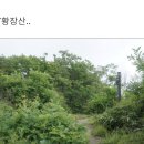 2023년06월03일(토) 제204차 연초록 지리산 주능 조망산행 정기산행 안내 이미지