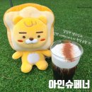 데니스화성 이미지