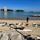 신영초등학교 이미지