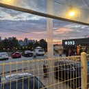 393 | 천안 두정동 야장393 | 캠핑 감성 삼겹살 맛집 내돈내산 솔직 후기 (반려동물 동반 가능)