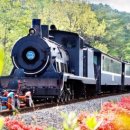 기차마을 이미지