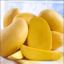 망고젤리 이미지