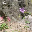 호텔오월로 이미지