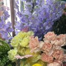 중앙플라워(생화) 이미지