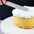 턴테이블케이크