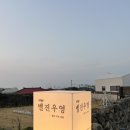 벨진우영