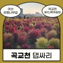 다목적광장 야영장 이미지