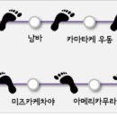 다종오락실
