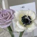 (원데이)히아시스 플라워 캔들 이미지