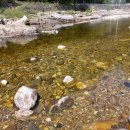 법수치계곡 펜션 꿈꾸는 숲 이미지