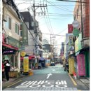 소프니스 이미지
