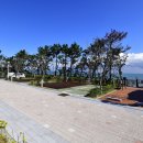 강동오토캠핑장 이미지