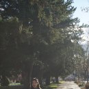 지혜미용실 이미지