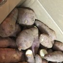 서아농장 | [무료 체험단 후기]서아농장 햇 꿀고구마 5kg_오븐에 고구마 굽는 방법