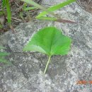 청수펜션 이미지