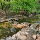 수안보농장 이미지