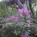 [광주 광산구]광주여대~동자봉(154m)~어등산 석봉(338m)~등용정~동자봉~광주여대 다녀오기(2022/4/28/목 오후) 이미지