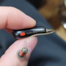 벨톤보청기 이천지사 이미지