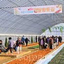 원코리아 베스트 하우스 이미지