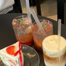 벌스데이다이어리