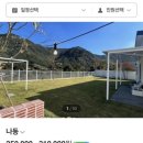 스테이 한가로이 두번째 네이버블로그