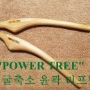 더웰에스테틱 이미지