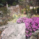 브로칸트 하우스 이미지