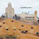 밀라로그