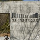 함파우길 이미지
