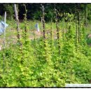 농민농약백화점 이미지