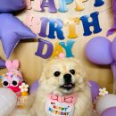 옐레드 부천상동점 이미지