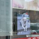 잘자