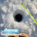 가평낚시터 | 가평 겨울 가볼만한 곳 2026년 북한강대성리송어축제 후기