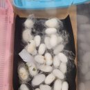 가좌초등학교 이미지